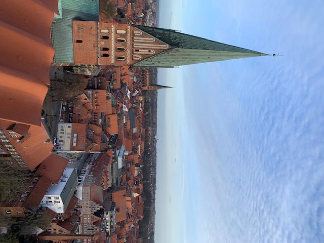 这张照片拍摄的是一座城市，棕色的屋顶和前景中的塔尖